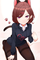 Rule 34 | 1girl, absurdres, animal ears, bed sheet, black jacket, breasts, brown hair, brown pantyhose, cat ears, cat girl, cat tail, choumi wuti (xueye fanmang zhong), closed mouth, collared shirt, commentary request, drawstring, hair ornament, hairclip, hand up, highres, higuchi madoka, idolmaster, idolmaster shiny colors, jacket, kemonomimi mode, looking at viewer, mole, mole under eye, no shoes, pantyhose, purple eyes, seiza, shirt, sitting, small breasts, soles, solo, swept bangs, tail, thighband pantyhose, white shirt
