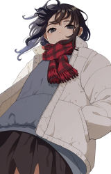 Rule 34 | 1girl, black eyes, black hair, black skirt, closed mouth, coat, commentary request, grey sweater, hand in pocket, long sleeves, looking at viewer, looking down, mattaku mousuke, miniskirt, open clothes, open coat, original, red scarf, scarf, serious, simple background, skirt, solo, sweater, twitter username, unzipped, white background, winter clothes, winter coat, zipper