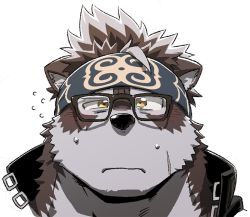 Rule 34 | 1boy, 1other, animal ears, bara, black-framed eyewear, black jacket, blush, chest hair, close-up, furry, furry male, glasses, grey fur, grey hair, headband, horkeu kamui, jacket, looking at viewer, male focus, open mouth, pince-nez, portrait, rossciaco, short hair, solo, solo focus, tail, tokyo houkago summoners, two-tone fur, white fur, wolf boy, wolf ears, wolf tail, yellow eyes