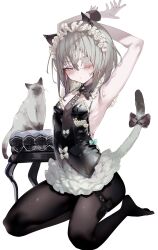 1-gou_(111touban) 1girl absurdres animal_ears armpits black_bow black_necktie bow breasts cat cat_ears cat_girl cat_tail closed_mouth detached_collar eyepatch frills full_body grey_eyes grey_hair highres kneeling looking_at_viewer maid_headdress medical_eyepatch necktie no_shoes one_eye_covered original pantyhose short_hair siamese_cat simple_background small_breasts solo stool tail tail_bow tail_ornament thigh_strap white_background white_bow wrist_cuffs