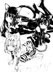 Rule 34 | 10s, 3girls, all fours, animal ears, bare shoulders, bed sheet, black gloves, bodysuit, bow, bowtie, breasts, cat ears, cat tail, commentary, elbow gloves, extra ears, fingerless gloves, fukushima masayasu, garter straps, gloves, greyscale, high contrast, highres, kemono friends, large breasts, long hair, looking at viewer, lying, monochrome, multiple girls, on side, original, personification, photo-referenced, shirt, short hair, sitting, skirt, sleeveless, sleeveless shirt, striped clothes, striped gloves, striped legwear, striped skirt, striped tail, striped thighhighs, tail, thighhighs, wariza