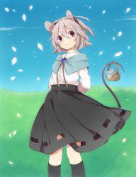 Rule 34 | 1girl, adapted costume, akagashi hagane, alternate costume, animal, animal ears, arms behind back, basket, black socks, capelet, grey hair, kneehighs, mouse (animal), mouse ears, mouse tail, nazrin, petals, red eyes, shirt, short hair, skirt, sky, smile, socks, solo, tail, touhou