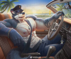 Rule 34 | 1boy, 6suan, abs, animal ears, bara, between pectorals, car interior, come hither, driving, from side, furry, furry male, grey fur, hat, highres, large pectorals, looking at viewer, male focus, mature male, muscular, muscular male, navel hair, nipples, original, peaked cap, pectorals, seatbelt, seductive smile, short hair, sitting, smile, solo, steering wheel, stomach, tail, thick eyebrows, topless male, tsurime, wolf boy, wolf ears, wolf tail