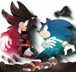 Rule 34 | 2boys, bad id, bad pixiv id, face-to-face, furry, furry male, gloves, male focus, multiple boys, naoko (juvenile), shadow the hedgehog, shoes, sneakers, sonic (series), sonic adventure 2, sonic the hedgehog