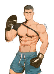 Rule 34 | 1boy, absurdres, bara, black hair, boxing gloves, brown eyes, highres, large pectorals, looking at viewer, male focus, muscular, muscular male, original, pectorals, scar, scar on face, short hair, shorts, signature, simple background, solo, standing, white background, yun shen