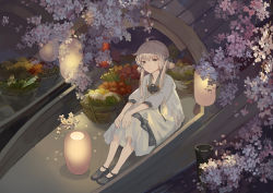 Rule 34 | 1girl, ao hitomi, basket, boat, cherry blossoms, double bun, food, from above, lantern, light smile, long hair, looking at viewer, original, paper lantern, petals, pixiv fantasia, pixiv fantasia t, scenery, silver hair, sitting, solo, tree, vegetable, water, watercraft