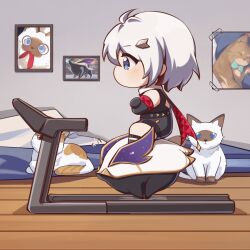 Rule 34 | 1girl, 1other, animated, animated gif, blue eyes, cat, chibi, chinese commentary, commentary request, crossed arms, from side, hair ornament, hairpin, highres, honkai: star rail, honkai (series), numby (honkai: star rail), picture frame, riding, topaz (honkai: star rail), treadmill, trotter (honkai: star rail), white hair, xinzhizhu