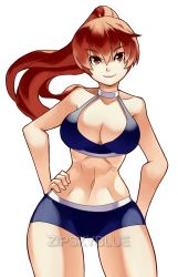 Rule 34 | absurdres, breasts, brown eyes, brown hair, dead or alive, high ponytail, highres, kasumi (doa), large breasts, long hair, midriff, shorts, white background, zipskyblue
