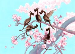 Rule 34 | 5others, animal, animal focus, black scales, black wings, blue sky, cherry blossoms, colored sclera, dragon, dragon wings, fleebites, flower, forked tongue, grey sclera, looking at viewer, multiple others, no humans, nose horn, on branch, original, pink flower, red eyes, sitting on branch, sky, tongue, tongue out, wings