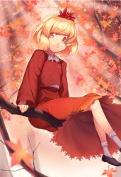 Rule 34 | 1girl, aki shizuha, autumn, autumn leaves, blonde hair, branch, brown footwear, closed mouth, collar, eyes visible through hair, hair ornament, kaiza (rider000), leaf, leaf hair ornament, leaf on head, light, long sleeves, looking at viewer, red shirt, red skirt, red sleeves, shirt, shoes, short hair, sitting, skirt, smile, socks, solo, sunlight, touhou, tree, white collar, white socks, yellow eyes