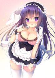 Rule 34 | 1girl, :o, alternate costume, animal ears, apron, arms at sides, blouse, blush, bra, breasts, cleavage, collarbone, commentary request, cowboy shot, fleur de lapin uniform, frilled apron, frills, gochuumon wa usagi desu ka?, gradient background, hairband, hand on own chest, headdress, large breasts, long hair, looking at viewer, maid, nose blush, open clothes, open mouth, open shirt, pink bra, purple eyes, purple hair, rabbit ears, shibainu niki, shirt, skirt, solo, sparkle, standing, tedeza rize, thighhighs, thighs, underbust, underwear, uniform, vest, white shirt, white thighhighs, wrist cuffs, zettai ryouiki