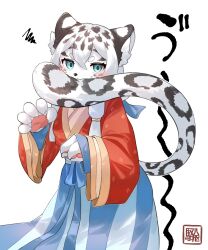 Rule 34 | 1girl, animal ear fluff, animal ears, animal nose, animal print, artist name, blue eyes, blue skirt, body fur, chinese clothes, claw pose, commentary, covered mouth, cowboy shot, from side, furry, furry female, hanfu, highres, hikimayu, kawarage yatano, layered sleeves, leopard ears, leopard girl, leopard print, leopard tail, long sleeves, looking at viewer, low-tied sidelocks, multicolored hair, original, pawpads, qixiong ruqun, red shirt, shirt, short hair with long locks, simple background, skirt, snow leopard, solo, squiggle, standing, tail, two-tone hair, white background, white fur, white hair, wide sleeves