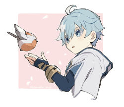 Rule 34 | 1boy, ahoge, bird, blue eyes, blue hair, child, chinese clothes, chongyun (genshin impact), commentary, commentary request, fingerless gloves, genshin impact, gloves, hair between eyes, hood, hood down, hooded jacket, is this a pigeon (meme), jacket, long sleeves, looking at animal, male focus, meme, open mouth, outstretched hand, shimanakao (shimanaka sushi), short hair, simple background, solo, white background