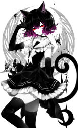 Rule 34 | 1girl, absurdres, animal ear fluff, animal ears, artist name, black choker, black dress, black gloves, black hair, black thighhighs, bow, bug, butterfly, cat ears, cat tail, choker, collarbone, commentary, crescent, cross, cross choker, dress, elbow gloves, eyelashes, feet out of frame, frilled shirt collar, frills, gloves, gradient hair, hand up, head tilt, highres, insect, limited palette, looking at viewer, multicolored hair, original, petticoat, purple hair, red eyes, sailor collar, sheya, short hair, signature, simple background, solo, spot color, standing, tail, thighhighs, thighs, white background, zettai ryouiki
