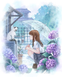 Rule 34 | 1girl, air conditioner, bow, bowtie, brown footwear, building, cat, closed mouth, flower, from side, green bow, green bowtie, grey skirt, gurafuru, holding, holding umbrella, house, hydrangea, kneehighs, loafers, looking at another, original, outdoors, rain, school uniform, shirt, shoes, short sleeves, skirt, socks, squatting, transparent, transparent umbrella, umbrella, uniform, white shirt, white socks