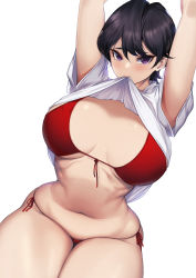 Rule 34 | 1girl, absurdres, arms up, bikini, black hair, blueorca, blush, breasts, breasts apart, clothes in mouth, clothes lift, curvy, highres, komi-san wa komyushou desu, komi shuuko, large breasts, looking at viewer, mature female, mole, mole on breast, mouth hold, narrow waist, navel, purple eyes, red bikini, shiny clothes, shiny skin, shirt in mouth, shirt lift, short hair, side-tie bikini bottom, skindentation, solo, swimsuit, thick thighs, thighs, white background, wide hips