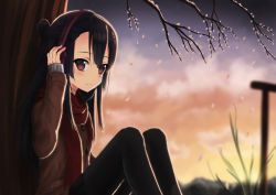 Rule 34 | 1girl, absurdres, against tree, asymmetrical bangs, black hair, black pantyhose, black skirt, blurry, blush, brown coat, brown eyes, cherry blossoms, closed mouth, coat, commentary, depth of field, from side, hair between eyes, headphones, highres, itaro, koori chikage, lens flare, nogi wakaba wa yuusha de aru, one side up, outdoors, pantyhose, petals, plant, pleated skirt, red scarf, scarf, sitting, skirt, sleeves past wrists, smile, solo, sunset, tree, yuusha de aru