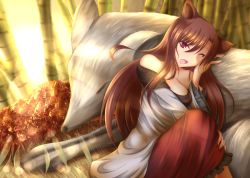 Rule 34 | 1girl, animal, animal ears, bamboo, bamboo forest, bare shoulders, brown hair, dress, fang, forest, frilled skirt, frills, hachiyou (yatsuha), hand on leg, head rest, highres, imaizumi kagerou, layered dress, leaning, lens flare, long hair, nature, on animal, one eye closed, open mouth, oversized animal, red eyes, red skirt, sitting, skirt, sunlight, touhou, white wolf, wolf ears