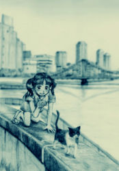Rule 34 | 1girl, bridge, cat, city, green theme, kneeling, monochrome, murasaki-no, solo, twintails