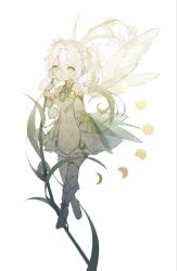 Rule 34 | 1girl, bare shoulders, bloom, expressionless, fairy, fairy wings, full body, genshin impact, green eyes, hair between eyes, highres, kb beary, looking at viewer, nahida (genshin impact), parted lips, pointy ears, simple background, solo, transparent wings, white background, white wings, wings