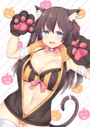 Rule 34 | absurdres, animal ears, animal hands, blue eyes, brown hair, cat ears, cat paws, cat tail, go! go! nippon! 2015, go! go! nippon! live with you!, go! go! nippon! ~my first trip to japan~, highres, long hair, midriff, misaki makoto (go! go! nippon!), nabunabu, ribbon, tail, twintails