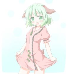 Rule 34 | 1girl, animal ears, blush, clothes lift, dress, dress lift, fang, female focus, gradient background, green eyes, green hair, kasodani kyouko, matching hair/eyes, open mouth, pink dress, shino megumi, short hair, simple background, smile, solo, tail, touhou