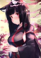 Rule 34 | 1girl, absurdres, alternate hair length, alternate hairstyle, animal ear fluff, animal ears, azur lane, black hair, black kimono, blunt bangs, blush, breasts, cat ears, cherry blossoms, commentary request, cotton kanzaki, highres, huge filesize, japanese clothes, kimono, large breasts, long hair, long sleeves, looking at viewer, obi, parted lips, red eyes, sash, sideboob, solo, very long hair, wide sleeves, yamashiro (azur lane)