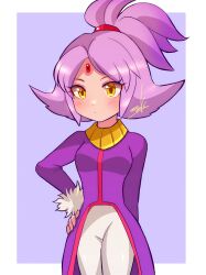 Rule 34 | 1girl, arm behind back, blaze the cat, blush, coat, cowboy shot, eyelashes, forehead jewel, fur trim, hand on own hip, highres, humanization, long hair, looking at viewer, nonoworks, pants, parted bangs, ponytail, purple coat, purple hair, signature, solo, sonic (series), white pants, yellow eyes