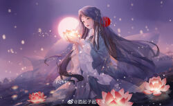 Rule 34 | 1girl, absurdres, artist request, blue dress, blue eyes, braid, closed mouth, collar, douluo dalu, dress, flower, frilled collar, frilled sleeves, frills, highres, holding, holding flower, lantern, light, long sleeves, lotus, ning rongrong (douluo dalu), reflection, second-party source, solo, standing, tiara, twin braids, veil, water