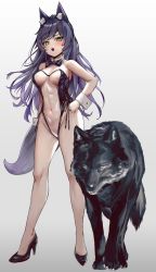 Rule 34 | 1girl, absurdres, animal, animal ear fluff, animal ears, bare legs, bare shoulders, black footwear, blush, breasts, cleavage, copyright request, detached collar, full body, green eyes, grey background, groin, high heels, highres, legs apart, leotard, long hair, looking at viewer, meme attire, mole, mole on breast, navel, nontraditional playboy bunny, oukafafafa, playboy bunny, ponytail, purple hair, see-through, see-through leotard, side-tie leotard, simple background, standing, stiletto heels, strapless, strapless leotard, tail, translucent bunnysuit, virtual youtuber, wide ponytail, wolf, wolf ears, wolf girl, wolf tail, wrist cuffs