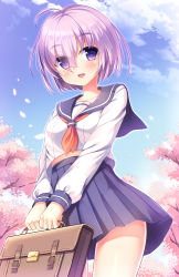 Rule 34 | 1girl, :d, alternate costume, blue sailor collar, blue skirt, blue sky, blush, branch, breasts, briefcase, cherry blossoms, commentary request, day, fate/grand order, fate (series), flower, hair over one eye, highres, holding, long sleeves, looking at viewer, mash kyrielight, neckerchief, open mouth, outdoors, petals, pink flower, pleated skirt, purple eyes, purple hair, red neckerchief, sailor collar, school briefcase, school uniform, serafuku, shirt, short hair, skirt, sky, small breasts, smile, solo, umitonakai, white shirt