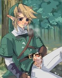 Rule 34 | 1boy, blonde hair, blush, censored, cum, forest, handjob, link, lowres, male focus, male masturbation, masturbation, nature, nintendo, outdoors, penis, piercing, pointless censoring, pointy ears, solo, the legend of zelda, wood