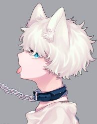 1boy adam&#039;s_apple animal_ear_fluff animal_ears blue_eyes cat_ears chain collar collarbone curly_hair grey_background hair_over_eyes original shirt short_hair signature slit_pupils tongue tongue_out tsubaki_tsubaru white_hair white_shirt