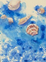 Rule 34 | blue background, highres, no humans, object focus, original, painting (medium), realistic, seashell, shell, still life, traditional media, watercolor (medium), yu grassbird