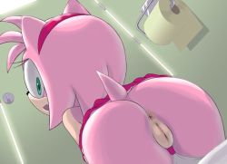 1girl amy_rose anus apostle_(artist) ass cleft_of_venus furry green_eyes groin headband looking_at_viewer looking_back panties pink_theme pussy sega skirt sonic_(series) tail thigh_gap toilet toilet_paper uncensored underwear upskirt