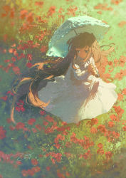 Rule 34 | 1girl, brown hair, dress, field, flower, flower field, grass, highres, holding, holding umbrella, long hair, looking to the side, original, potg (piotegu), red flower, sitting, solo, umbrella, very long hair, white dress