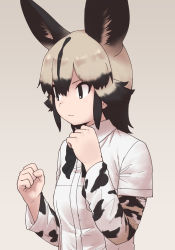 Rule 34 | 1girl, african wild dog (kemono friends), african wild dog print, animal ears, blonde hair, blue necktie, brown hair, clenched hands, collared shirt, dog ears, dog girl, extra ears, highres, kemono friends, long sleeves, multicolored hair, necktie, print sleeves, rumenia (ao2is), shirt, short hair, short sleeves, solo, t-shirt, upper body, white shirt