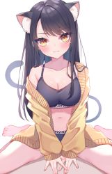 Rule 34 | 1girl, :3, animal ears, bare shoulders, between legs, black hair, black shirt, breasts, cat ears, cat girl, cat tail, cleavage, crop top, extra ears, highres, itoi toi, jacket, large breasts, long hair, long sleeves, looking at viewer, midriff, navel, off shoulder, open clothes, open jacket, original, shirt, sitting, sleeveless, sleeveless shirt, smile, solo, spaghetti strap, spread legs, stomach, tail, thighs, yellow eyes, yellow jacket