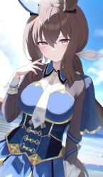 Rule 34 | 1girl, absurdres, admire vega (umamusume), anima miko, animal ears, blue dress, blue sky, blush, breasts, brown hair, closed mouth, cloud, cloudy sky, commentary request, cowboy shot, dress, ear covers, hair between eyes, highres, horse ears, horse girl, horse tail, long hair, long sleeves, looking at viewer, medium breasts, necktie, outdoors, ponytail, purple eyes, single ear cover, sky, solo, tail, umamusume, very long hair, white necktie