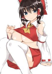 Rule 34 | 1girl, bare shoulders, black hair, blue eyes, blush, breasts, cleavage, clothes lift, curvy, golgi hon, hair ribbon, hakurei reimu, half updo, large breasts, lifting own clothes, looking at viewer, necktie, plump, ribbon, shirt, shirt lift, short hair, simple background, sitting, skirt, smile, solo, touhou, twintails, underboob, white background