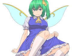 Rule 34 | 1girl, ascot, blue dress, blue eyes, blue wings, breasts, closed mouth, daiyousei, dress, fairy wings, frilled ascot, frilled sleeves, frills, green hair, hair between eyes, hair ribbon, holding, holding clothes, holding dress, kakone, kneehighs, leg up, looking at viewer, medium breasts, ribbon, short sleeves, side ponytail, simple background, sitting, smile, socks, solo, touhou, white background, white socks, wings, yellow ascot, yellow ribbon