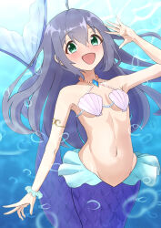 Rule 34 | 1girl, :d, aqua scrunchie, blush, breasts, choda, collarbone, commentary request, green eyes, hair between eyes, highres, idolmaster, idolmaster million live!, jewelry, long hair, mermaid, mochizuki anna, monster girl, monsterification, navel, necklace, open mouth, pearl necklace, purple hair, scales, scrunchie, shell, shell bikini, small breasts, smile, solo, sweatdrop, underwater, wrist scrunchie