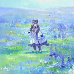 Rule 34 | 1girl, :/, animal ears, animal feet, blue background, blue bow, blue dress, blue eyes, blue flower, blue fur, blue hair, blue sky, blue tail, bow, bowtie, cat ears, cat girl, cat tail, digitigrade, dress, field, flower, flower field, frilled dress, frilled sleeves, frills, full body, hair bow, hand up, long hair, long sleeves, looking at viewer, original, purple flower, sky, solo, standing, starshadowmagician, tail, twintails, white dress