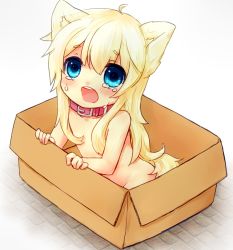 Rule 34 | 1girl, animal ears, bad id, bad pixiv id, blonde hair, blue eyes, box, cardboard box, censored, collar, convenient censoring, for adoption, highres, in box, in container, long hair, nude, original, sawatari (sado), solo, tears