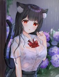 Rule 34 | 1girl, animal ears, black hair, black skirt, blurry, blurry background, blush, bow, bowtie, bra, breasts, cat ears, cat girl, cat tail, collared shirt, commentary request, depth of field, dress shirt, flower, hand up, highres, hydrangea, katsushika pachi, long hair, looking at viewer, medium breasts, original, parted lips, pleated skirt, purple bra, purple flower, rain, red bow, red bowtie, red eyes, shirt, skirt, solo, tail, underwear, very long hair, wet, wet clothes, wet hair, wet shirt, white shirt
