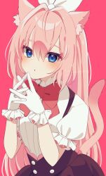 1girl absurdres animal_ear_fluff animal_ears blue_eyes blush bow bowtie cat_ears cat_girl cat_tail commentary_request ekomori_eko frilled_gloves frilled_sleeves frills gloves hair_bow highres long_hair looking_at_viewer original own_hands_together parted_lips pink_background pink_hair short_sleeves signature skirt suspender_skirt suspenders tail very_long_hair