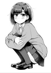 Rule 34 | 1girl, betock, closed mouth, crossed arms, expressionless, greyscale, highres, looking at viewer, monochrome, original, shoes, skirt, solo, squatting, sweater, thighhighs, thighs