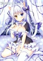 Rule 34 | 1girl, absurdres, aina rive, animal ears, antenna hair, bed sheet, black dress, blue eyes, bow, breasts, cat ears, cat girl, cat tail, center opening, cleavage, convenient arm, curtains, dress, groin, hair bow, hand on own chest, heterochromia, highres, large breasts, leg ribbon, long hair, looking at viewer, mauve, neck ribbon, no panties, no shoes, original, ribbon, scan, seiza, short sleeves, single thighhigh, sitting, smile, solo, tail, thighhighs, white hair, white thighhighs, yellow eyes