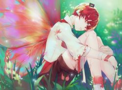 Rule 34 | bandaid, bandaid on face, bandaid on nose, blurry, blurry background, boots, fairy wings, flower, forest, frills, fukase, grass, head on knees, headphones, hugging own legs, male focus, mini flag, misu (stepforme), nature, red eyes, red hair, ribbon, shirt, shorts, sitting, sleeves past elbows, solo, vocaloid, white shirt, wings