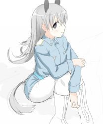 Rule 34 | 1girl, aki (d071026m), animal ears, bad id, bad pixiv id, boots, eila ilmatar juutilainen, long hair, long sleeves, military, military uniform, pantyhose, silver hair, solo, strike witches, tail, uniform, white pantyhose, world witches series, yellow eyes